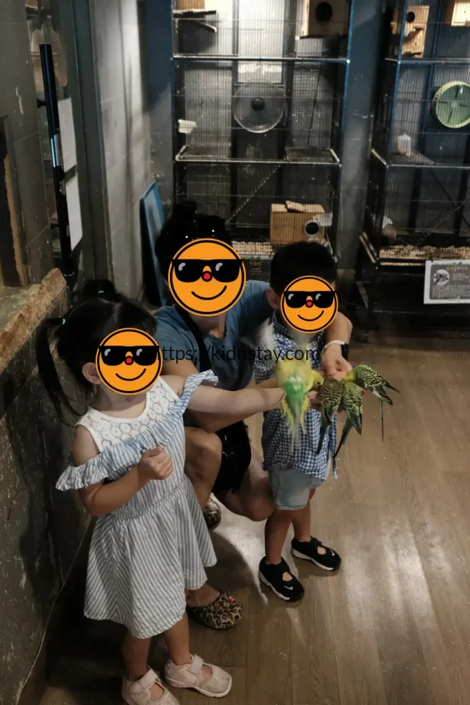 사랑앵무 먹이주기 체험