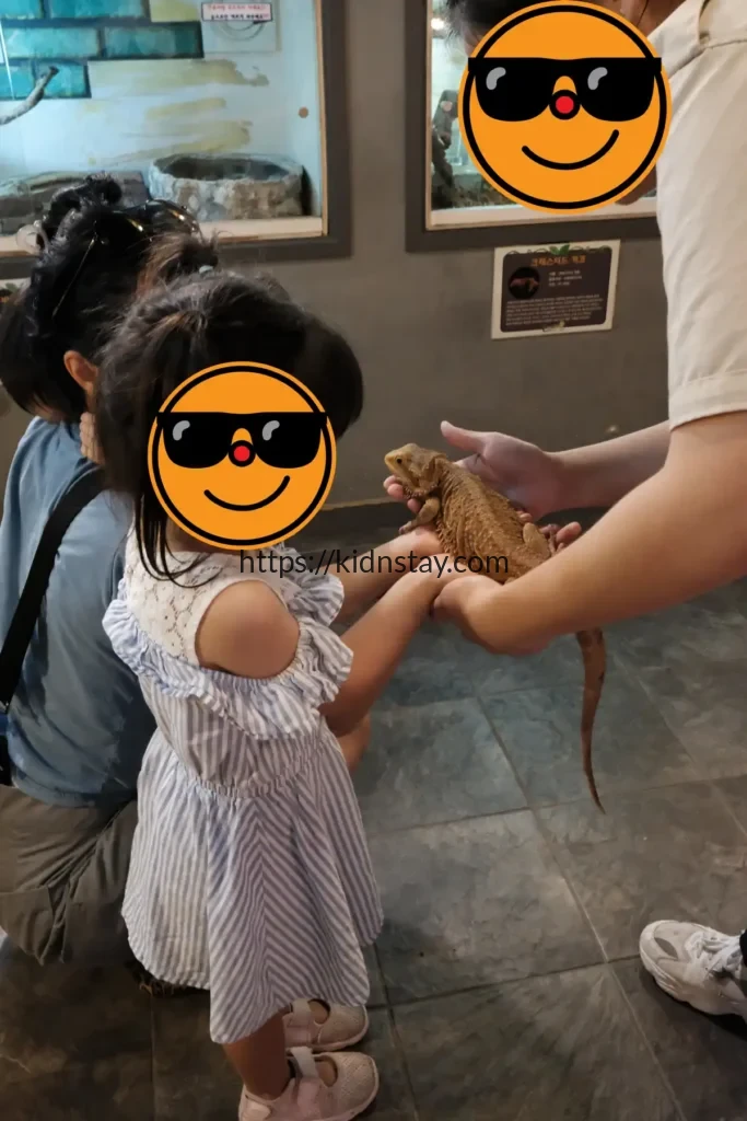 도마뱀 핸들링