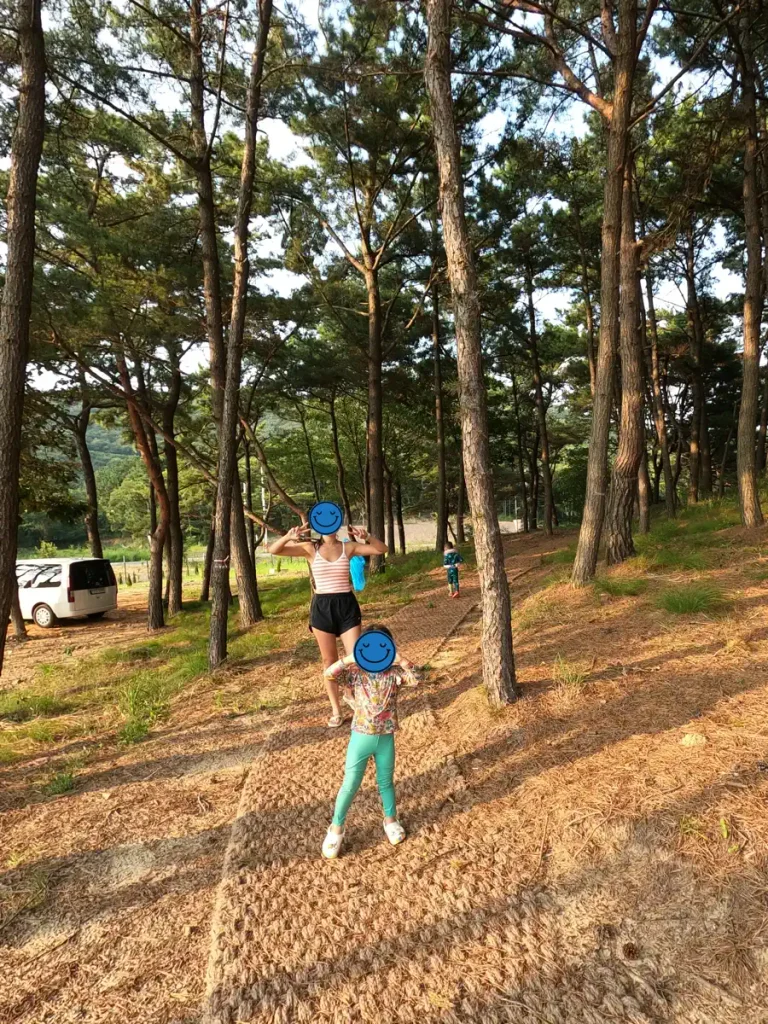 트레일