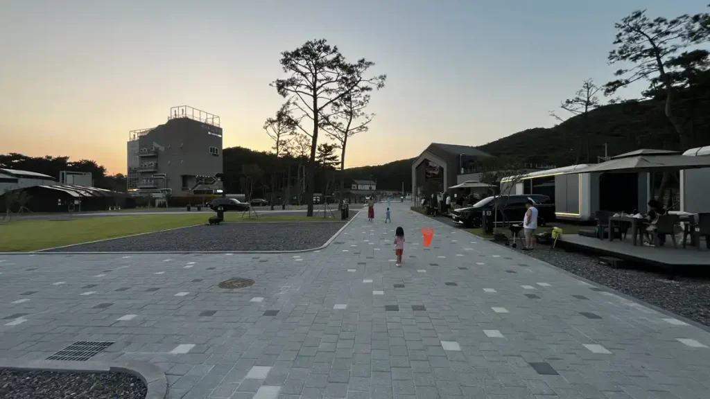 넓은 글램핑장 저녁 잠자리 사냥